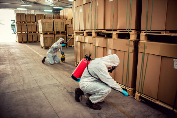 Best Emergency Pest Control  in Worthington, OH