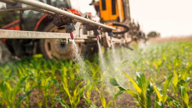 Best Commercial Pest Control Services  in Worthington, OH